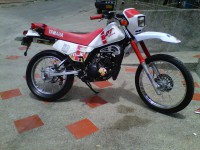 Dt 175 Mela!!! 4641586)	3206972123